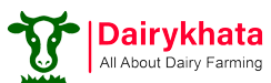 DairyKhata